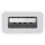Apple USB-C to USB Adapter