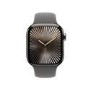 Apple Watch Series 10 GPS + Cellular 42mm Natural Titanium Case with Stone Grey Sport Band - M/L