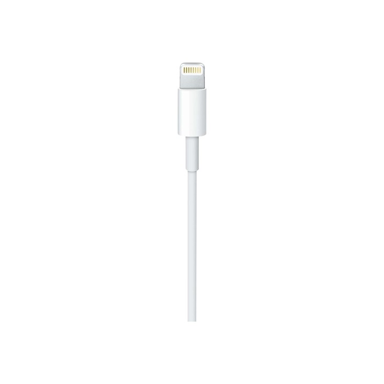 Apple USB-C to Lightning Cable - Lightning cable - USB-C M to Lightning M - 1 m