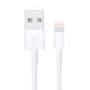 Apple 1m Lightning Cable White