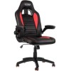 Nitro Concepts C80 Motion Series Gaming Chair - Black/Red