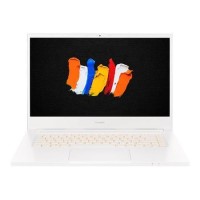 Acer ConceptD 3 Pro CN315-72P-71KZ Core i7-10750H 16GB 1TB SSD 15.6 Inch FHD Quadro T1000 4GB Windows 10 Pro Mobile Workstation Laptop