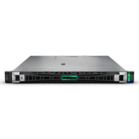HPE ProLiant DL320 Gen11 4510 Intel Xeon Silver 2.2GHz 64GB RAM 2x 480GB Rack Server