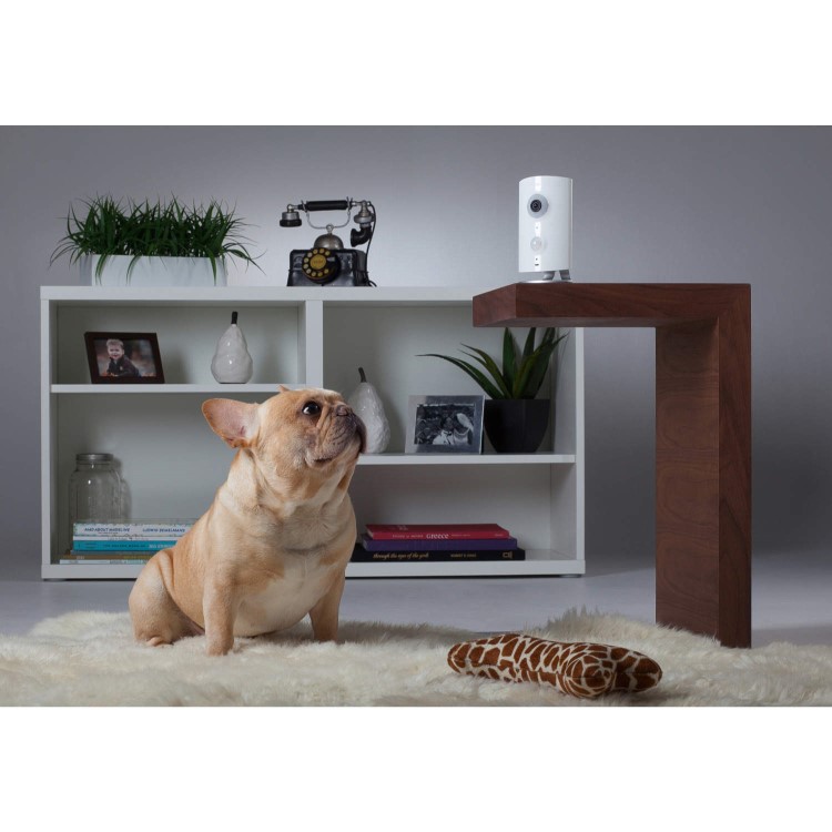 Piper HD 180º Fisheye Security Camera with Z-Wave in White