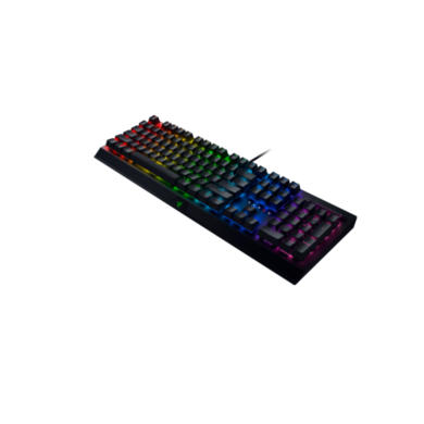 Razer BlackWidow V3 Green Switch RGB Wired Gaming Keyboard Black