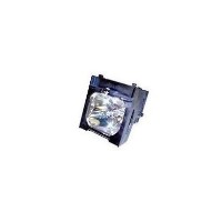 InFocus projector lamp