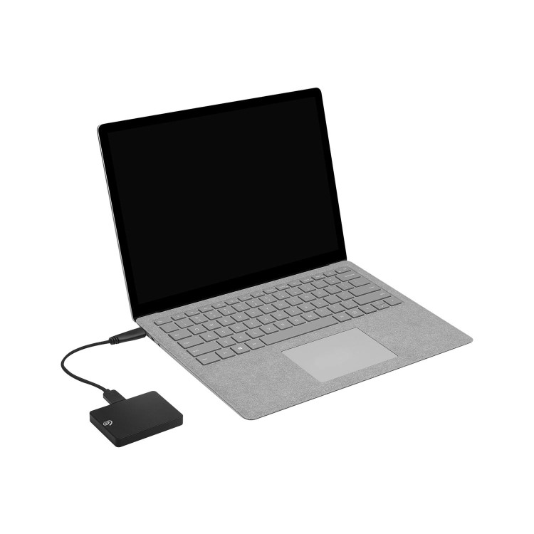 Seagate Expansion 500GB SSD