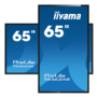 iiyama T6562AS-B1 65" IPS 4K UHD Touchscreen Interactive Display