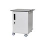 TekCharge Single Door 12 Laptops or Chromebook up to 17" Charging Trolley