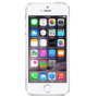 GRADE A1 - Apple iPhone 5s Silver 4" 16GB 4G Unlocked & SIM Free
