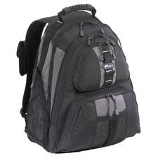 Targus 15.4 Laptop Backpack - Black_Silver