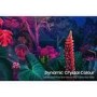 Samsung BU8000 65 Inch 4K HDR Smart TV