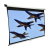 Elite 120 Inch Electric Projector Screen