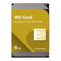 Western Digital WD Gold WD6004FRYZ - Hard drive - Enterprise - 6 TB - internal - 3.5" - SATA 6Gb/s - 7200 rpm - buffer_ 256 MB