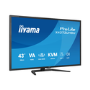 iiyama ProLite X4373UHSU 43" VA 4K UHD USB-C KVM Monitor