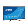 iiyama ProLite X4373UHSU 43" VA 4K UHD USB-C KVM Monitor