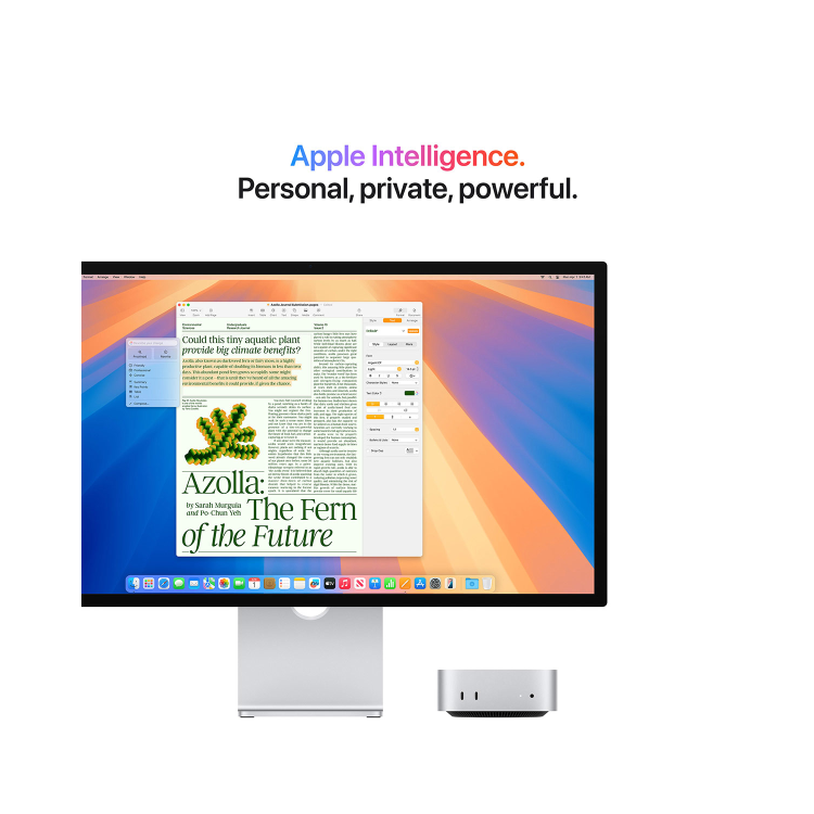 Apple Mac mini M4 32GB RAM 256GB SSD macOS Sequoia Mini PC - Silver