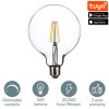 electriQ Dimmable Smart Wifi Large Filament Globe Bulb E27 screw Base - Clear finish - Alexa &amp; Google Home compatible