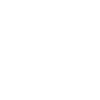 Dual QHD display.