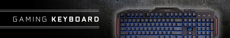 Gaming Accessories