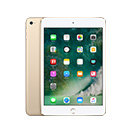 iPad Mini 4
