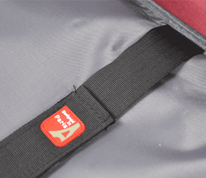 SECURITY STRAP