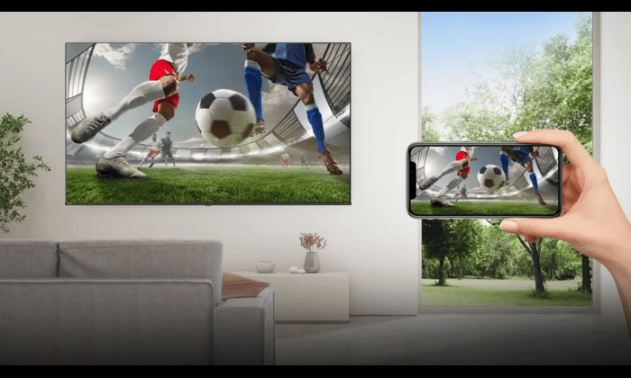Share to TV