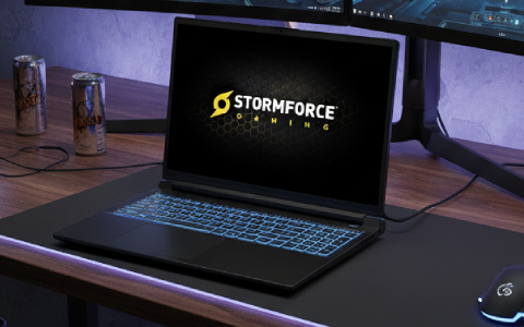 Why Stormforce Gaming?