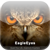 EagleEyes