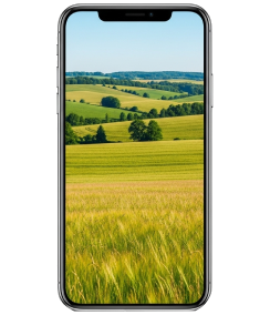 Refurbished phones